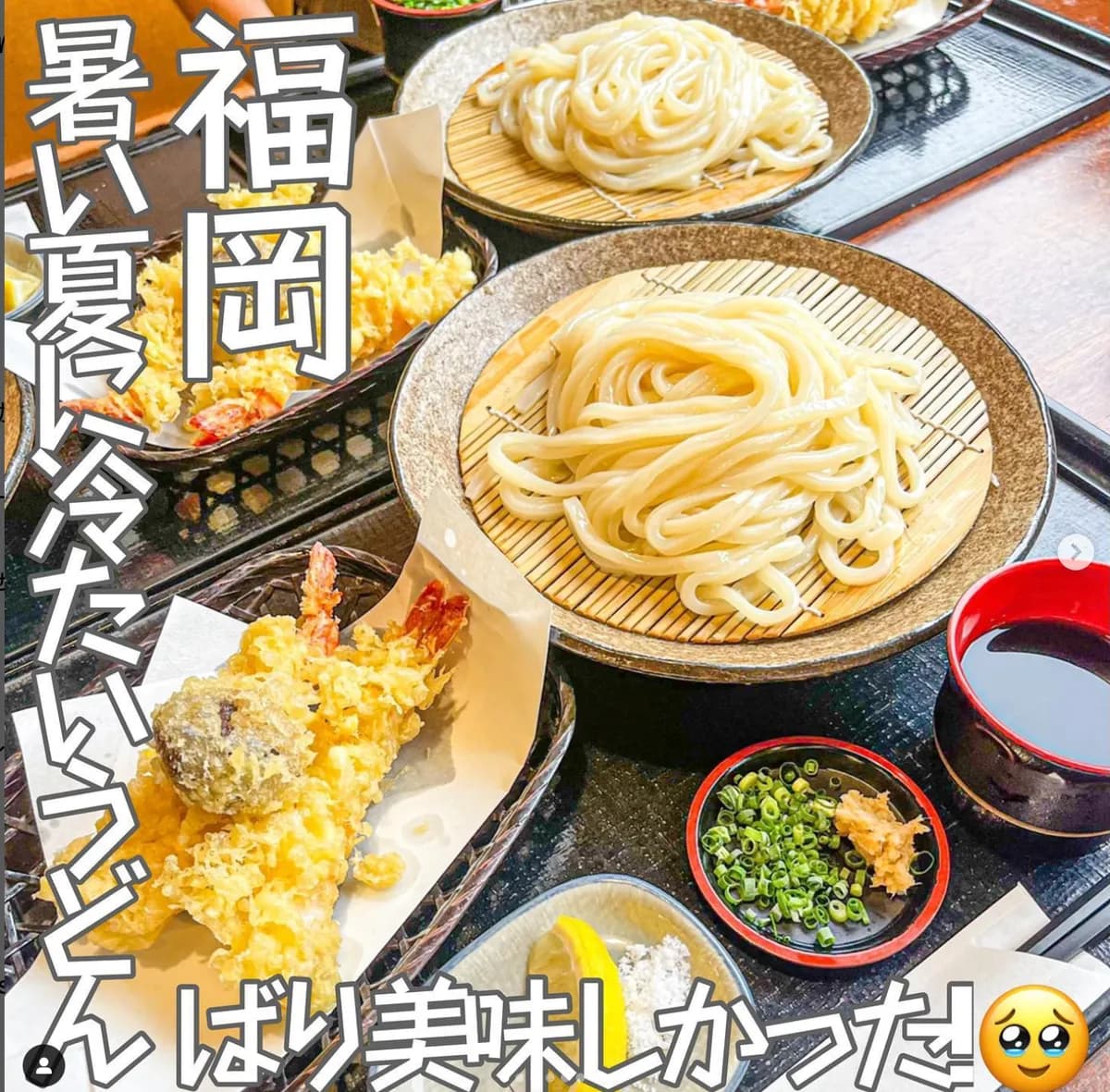 📍福岡県『うどん処 たぬき庵‎⓿ᴥ⓿』