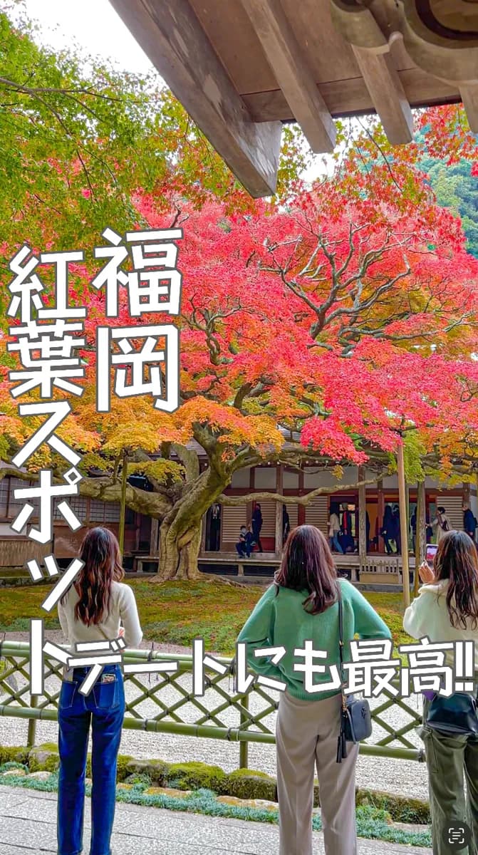 📍福岡県『今が見所❣️糸島にある紅葉スポット🍁』