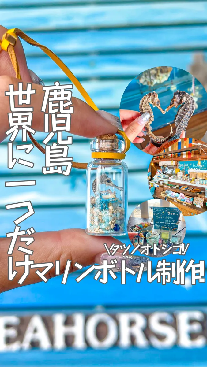 📍鹿児島県「世界に一つだけ‼️タツノオトシゴのオリジナル瓶が作れる‼️🐉」