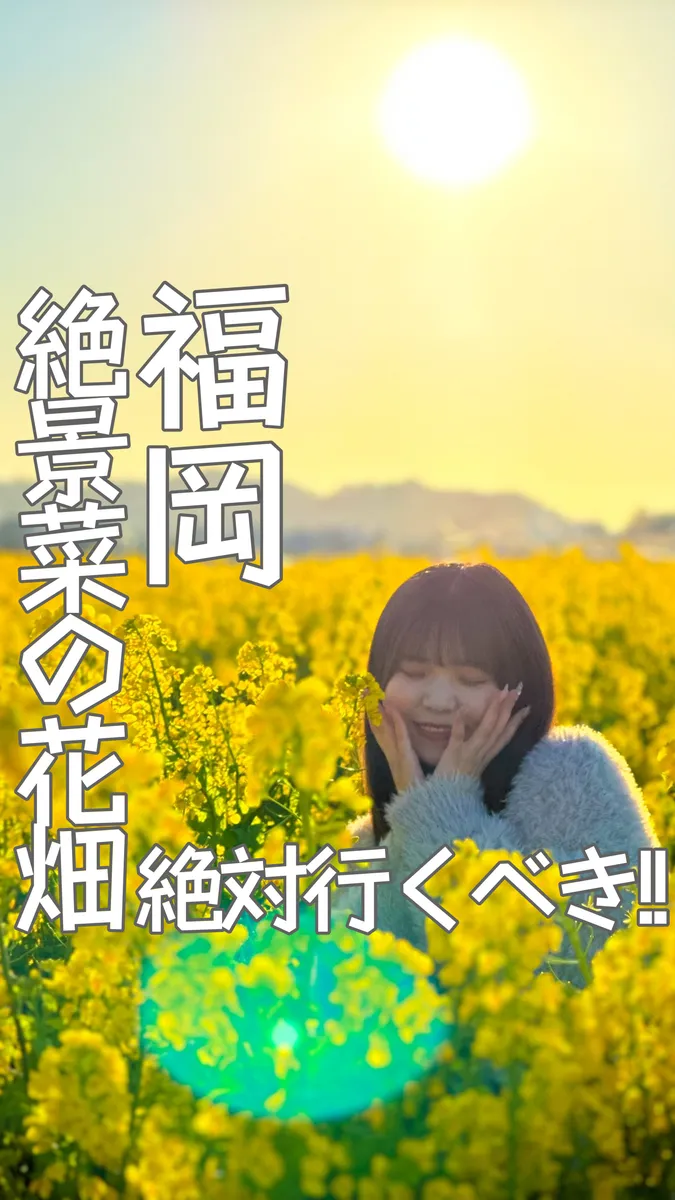 📍福岡県『春に行きたい!!🌼菜の花畑😍』