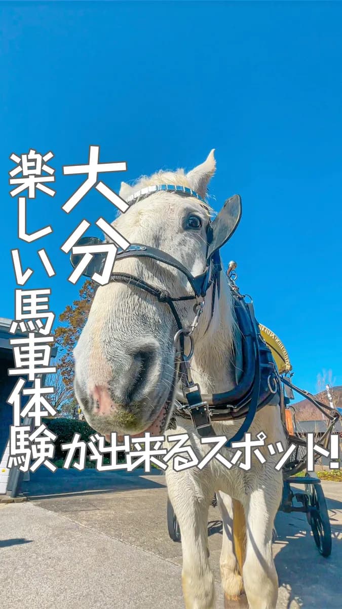 📍大分県『絶景の中で辻馬車体験ができるスポット🐴』