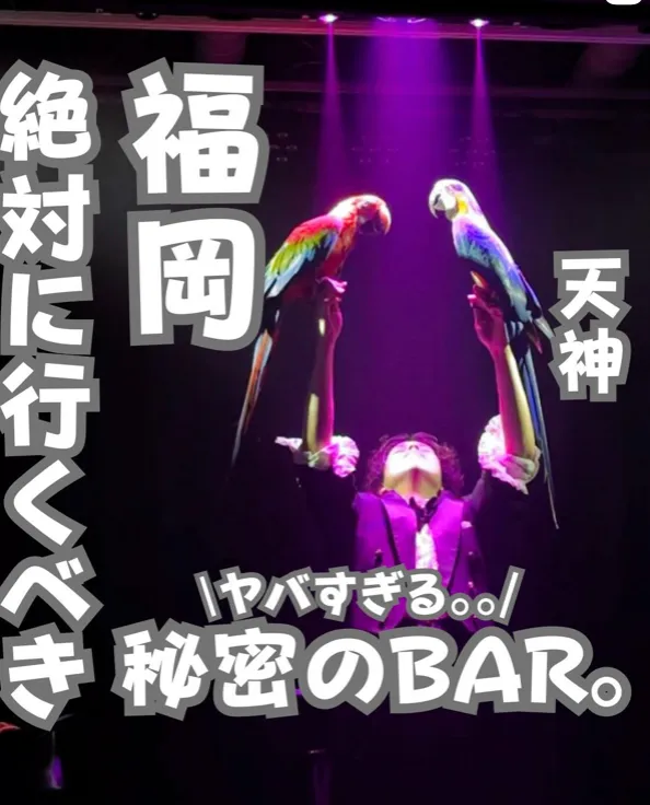 📍福岡県『福岡に来たら絶対行って欲しい秘密のBAR🍸』