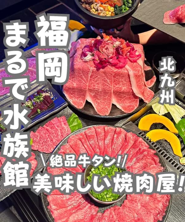 📍福岡県『本当は教えたくない！水族館のような美味しすぎる焼肉屋🔥』