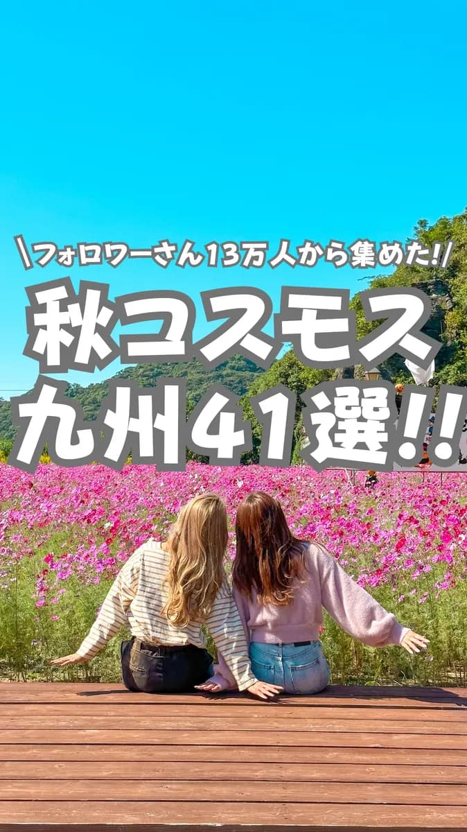 📍九州『コスモスの時期がやってきた！！コスモススポット41選🌸』