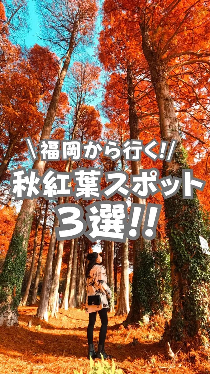 📍九州『福岡から行ける紅葉スポット🍁』
