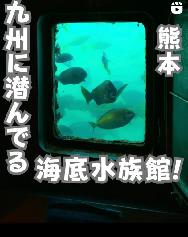 📍熊本県『まだ知られていない九州にある海中水族館』