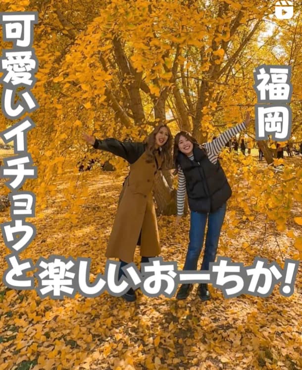 📍福岡県『可愛いイチョウの木たち❣️』