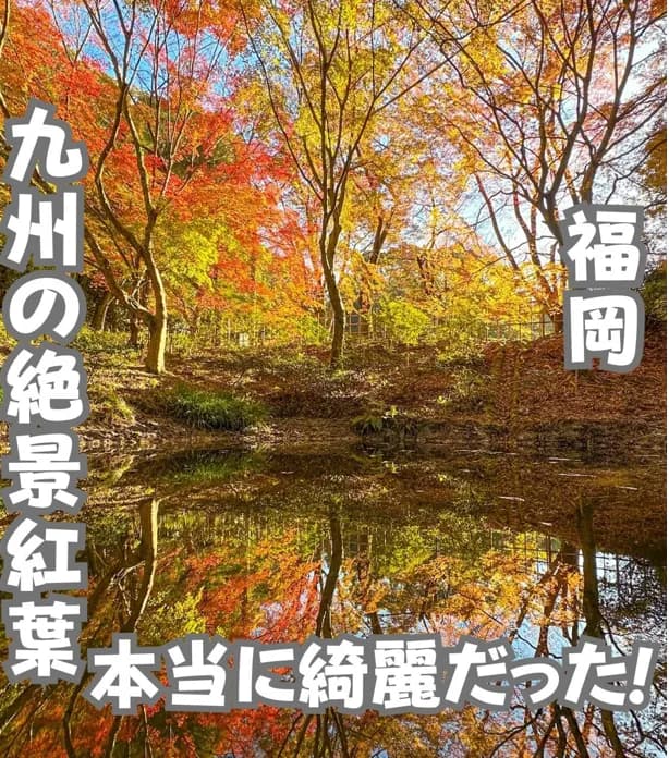 📍福岡県『池に映る絶景紅葉スポット🍁』