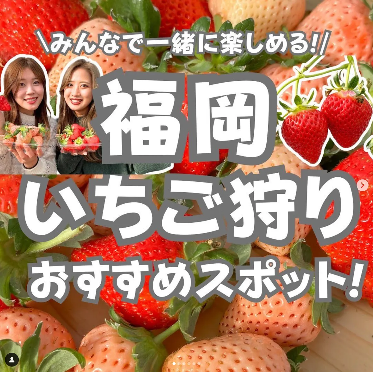 📍福岡県『福岡いちご狩りおすすめスポット！！』