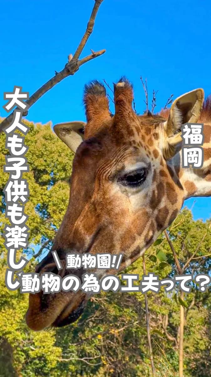 📍福岡県『大牟田市動物園』