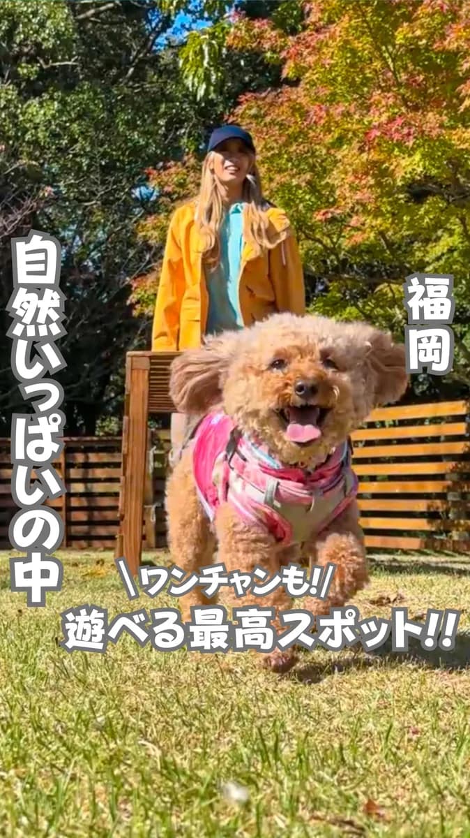 📍福岡県『福智山ろく花公園』