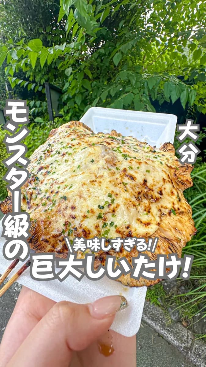 📍大分県『しいたけってこんなに美味しいの？』