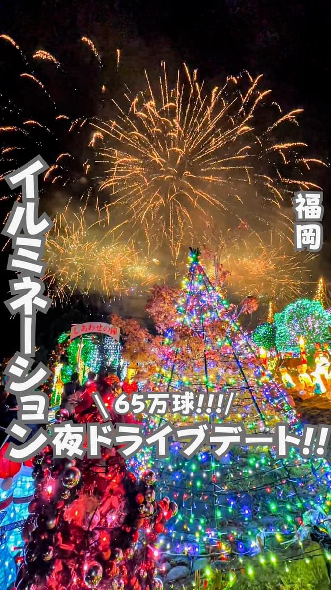 📍福岡県『65万球のライトアップ🔥』