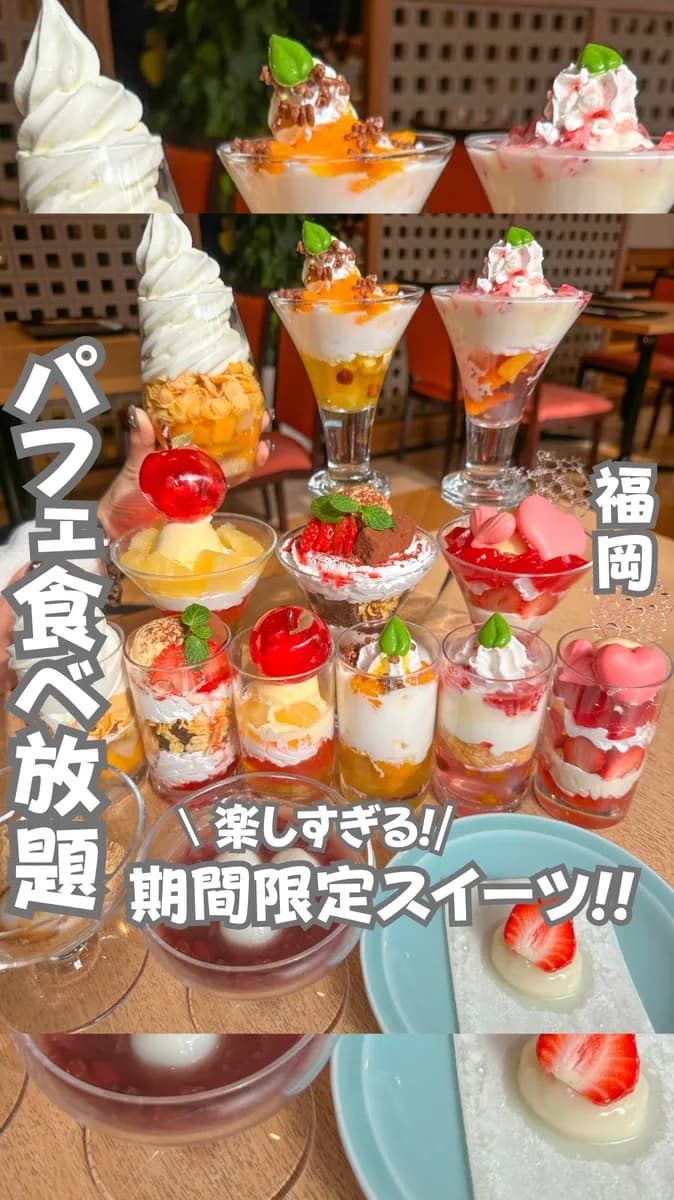 📍福岡県『大型犬カフェ』