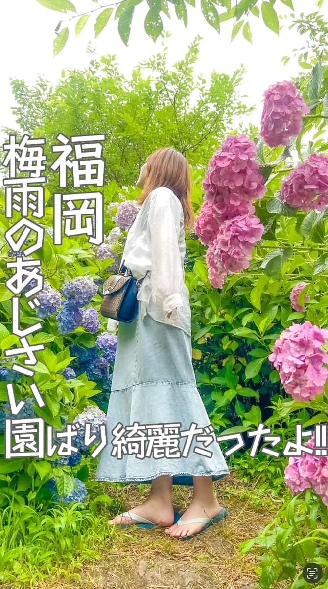 📍福岡県『 金山あじさい園』