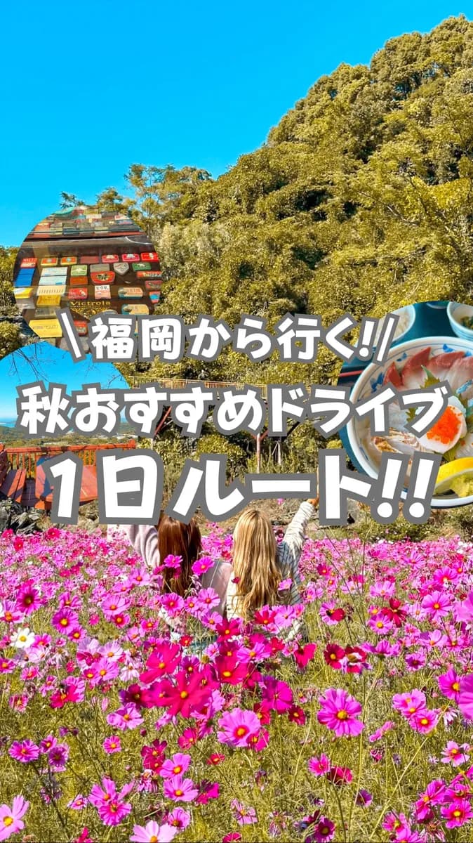 📍長崎県『秋に行きたい🍂福岡から行く1日ルート!!🚗³₃』