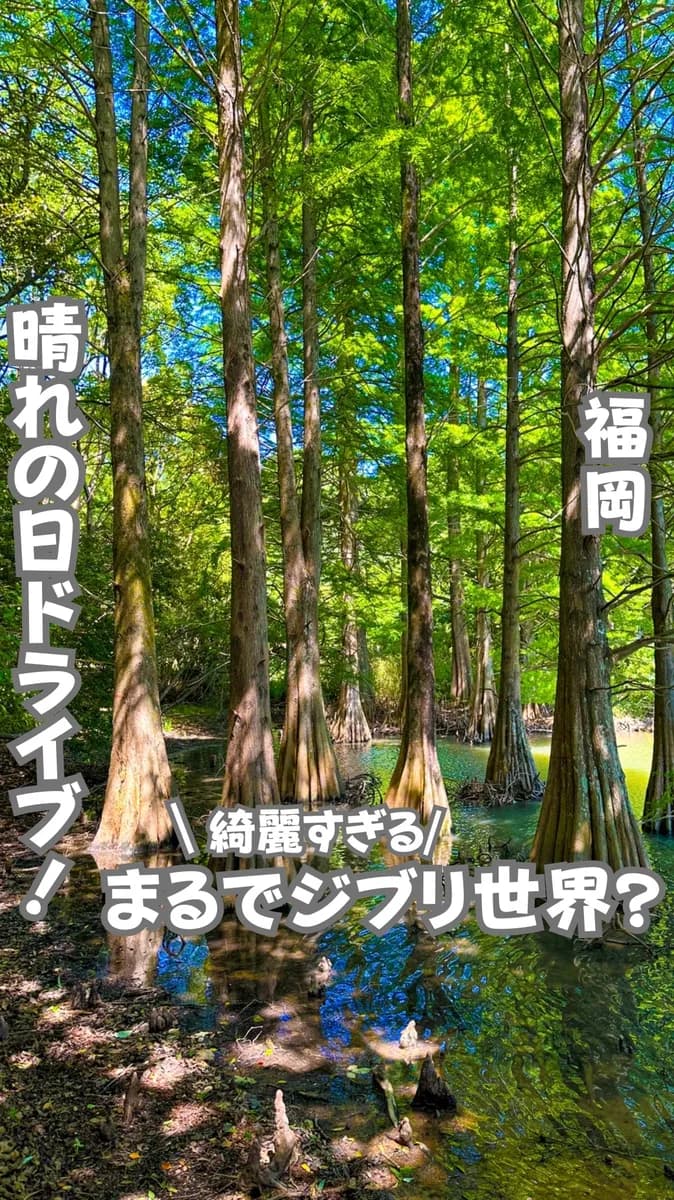 📍福岡県『これは本当にジブリだった…😳』